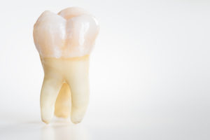 A molar extracted by your Braintree dentist